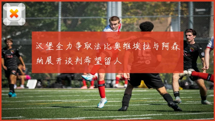 汉堡全力争取法比奥维埃拉与阿森纳展开谈判希望留人