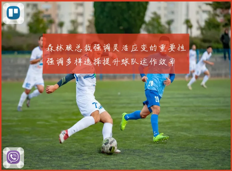 森林狼总裁强调灵活应变的重要性强调多样选择提升球队运作效率