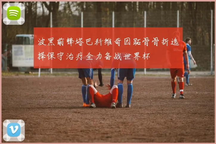波黑前锋塔巴科维奇因跖骨骨折选择保守治疗全力备战世界杯