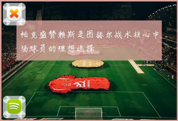 帕克盛赞赖斯是图赫尔战术核心中场球员的理想选择